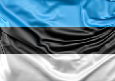 В честь Дня родного языка в Эстонии вывешены флаги