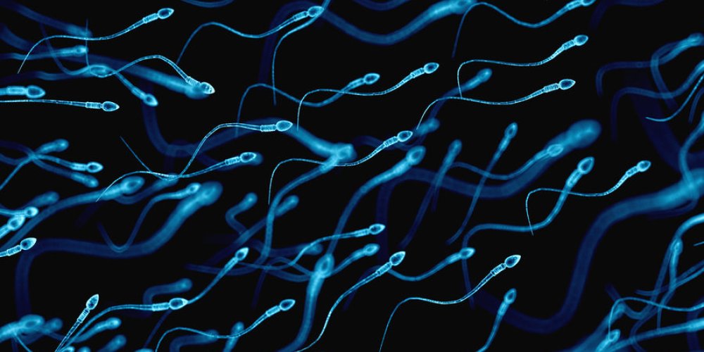 В Нидерландах будут судить мужчину за частое донорство спермы