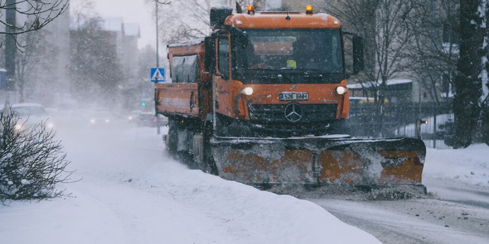 В буран выпадет до 15 см снега