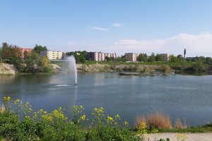 В субботу Ласнамяэ отметит свой 31-й день рождения