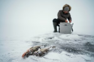 На Чудском озере утонул рыбак