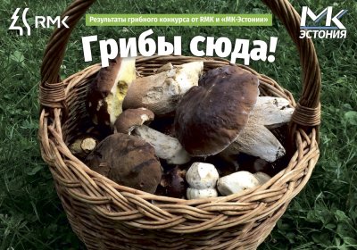 Кто же победил в фотоконкурсе «МК-Эстонии» и RMK «Грибы сюда»?