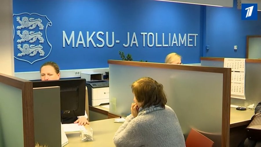 корм для насекомоядных птиц сколько стоит