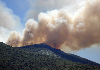 El País: лесной пожар на Тенерифе начался из-за поджога