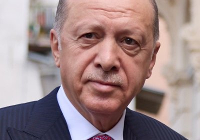 Эрдоган: "Украина и РФ не должны закрывать двери к переговорам, пока они открыты"