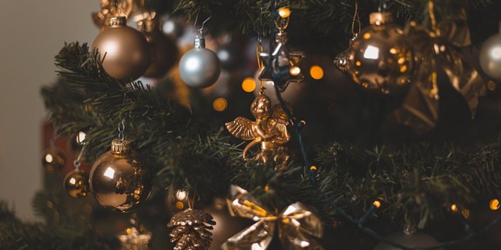 Секреты выбора новогодней елки «по-научному»: важны правильное время и место