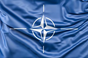 Правительство ФРГ: НАТО согласилась не отправлять сухопутные войска на Украину