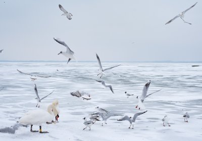 В Эстонии разрешен выход на внедорожниках на лед пограничных озер