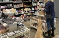 Выручка предприятий розничной торговли в марте выросла за год на 18 процентов
