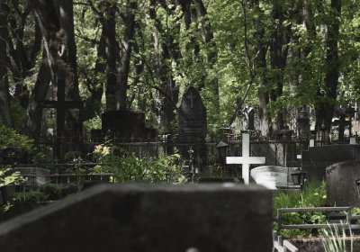 Читательница: летом уход дешевле