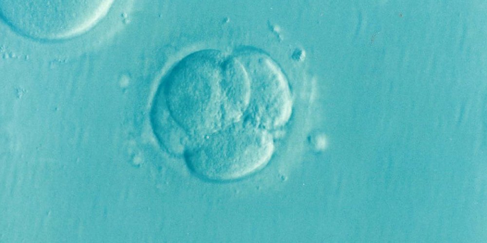 Ученые оказались близки к разгадке одной из величайших загадок науки