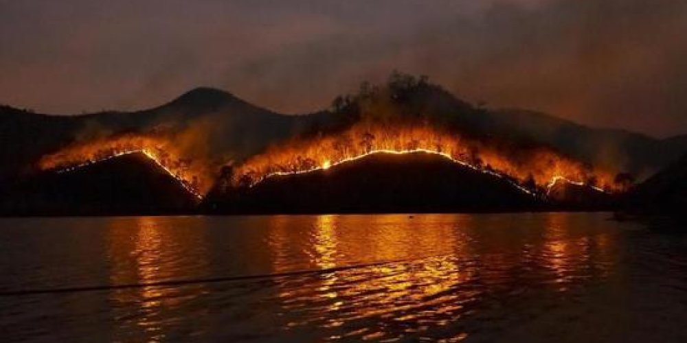 Ученые нашли следы древнейшего лесного пожара