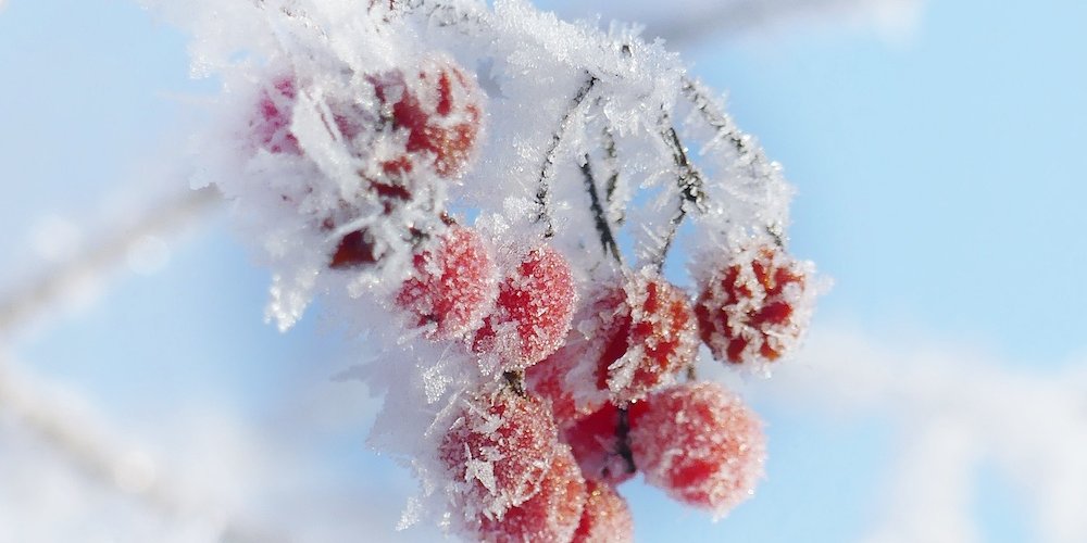 В начале новой недели в Эстонии ожидаются 13-градусные морозы