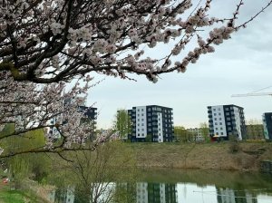 В Ласнамяэ пройдут инфодни для квартирных товариществ