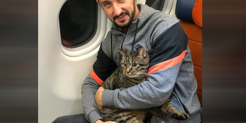 Умер кот Виктор, которого не хотели пускать в самолет