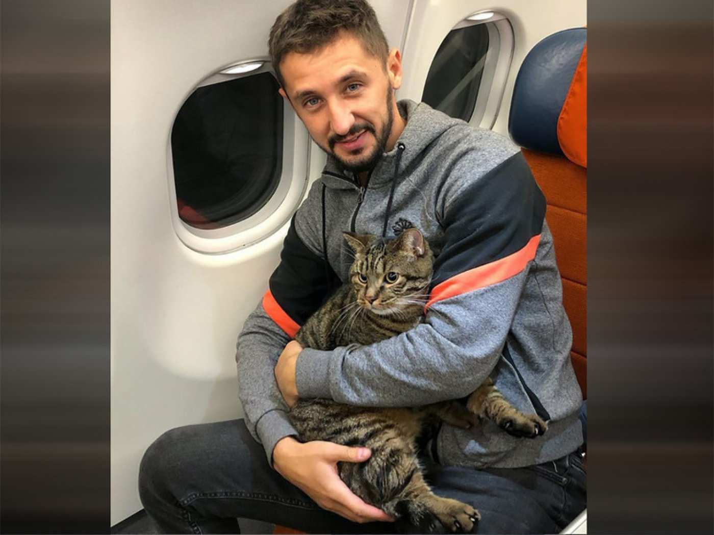 Умер кот Виктор, которого не хотели пускать в самолет