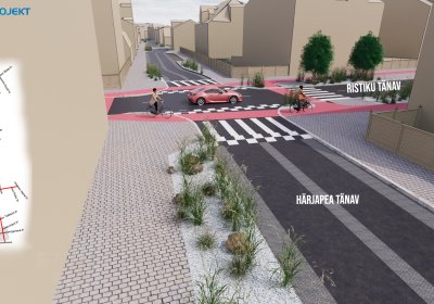 Горожанам представят концепцию озеленения улицы Ристику