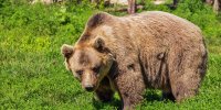 Финская пограничница прикинулась мертвой возле российского погранпункта