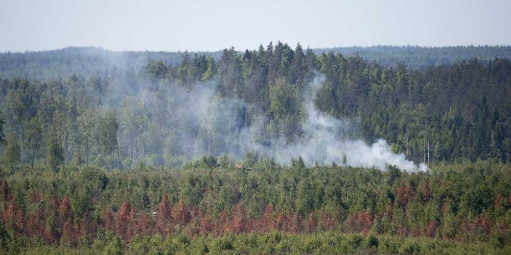 Спасатели напоминают правила безопасности при разведении костра