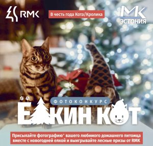 Фотоконкурс: &quot;Ёлкин кот&quot;: принимайте участие и выигрывайте призы!