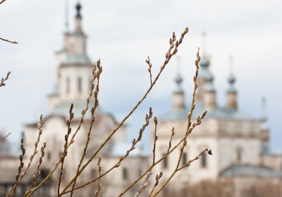 На инфочасе обсудили законопроект об изменении закона о церквях и приходах