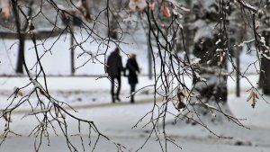 В феврале попеременно будут оттепели и заморозки