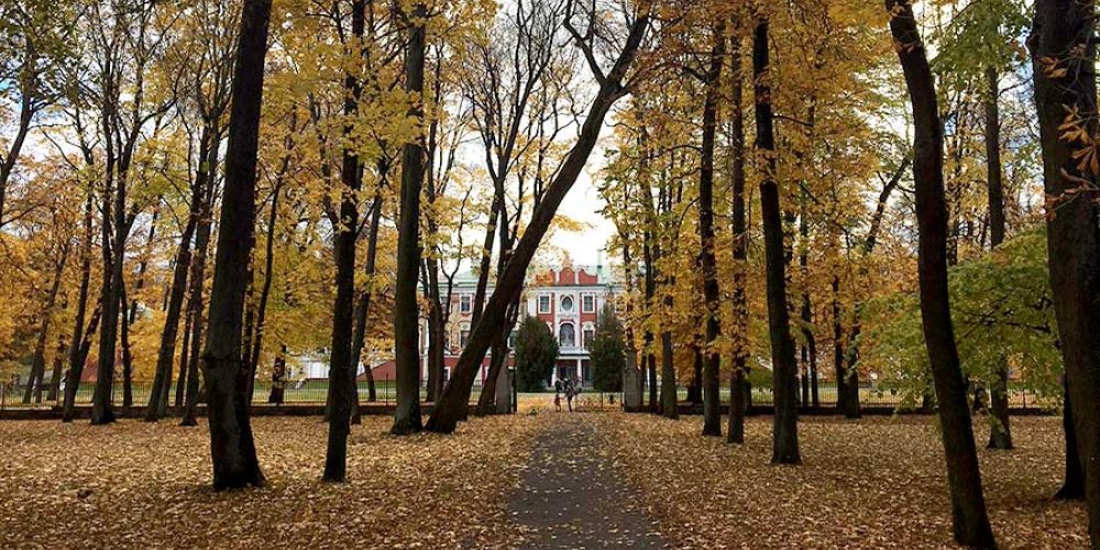 Прогноз погоды на среду