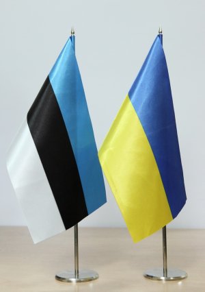 Правительство Эстонии привлечет военнослужащих обеспечить безопасность президента Украины