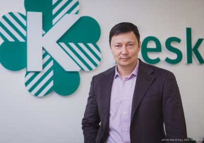 Кылварт: проблему кризиса демократии в стране решат внеочередные выборы