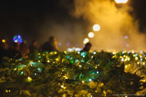 В Старом Таллинне пройдет пять световых шоу на тему городской природы и пространства