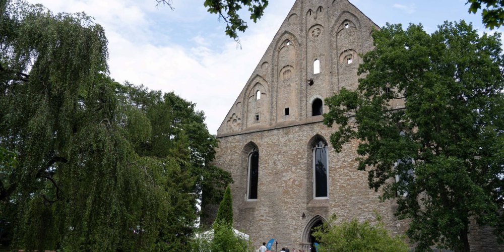 В бюджете Таллинна нет средств на проведение фестиваля «Биргитта»