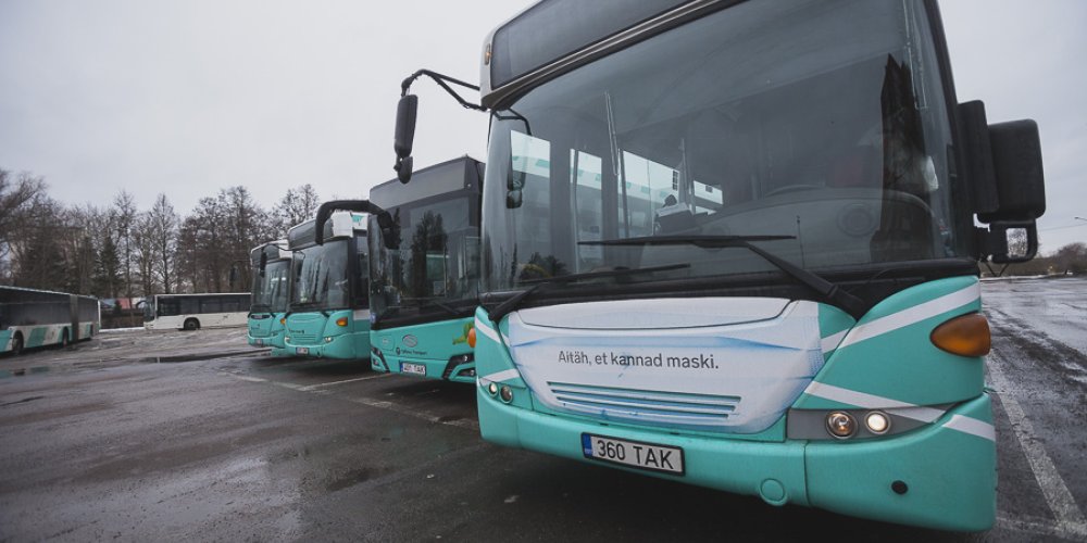 Летом в Таллинне возросла популярность ночных автобусов