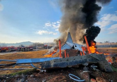 Авиакатастрофа в Южной Корее: погибли более 170 человек