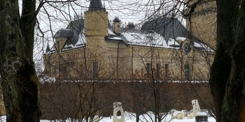 Пугачева и Галкин продали свой замок в деревне Грязь