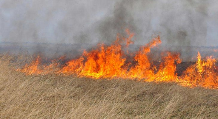 В Пярнумаа продолжается тушение ландшафтного пожара