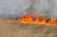 В Пярнумаа продолжается тушение ландшафтного пожара