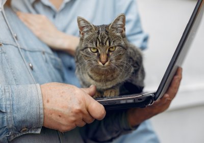6 приборов, которые нужно выключать из розетки, если у вас есть животные