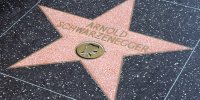 Шварценеггер захотел сняться в проектах Marvel