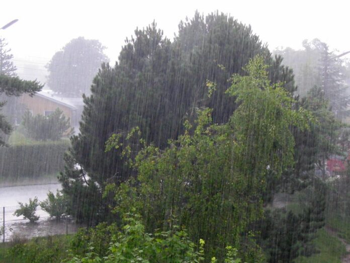 https://simple.wikipedia.org/wiki/Rain